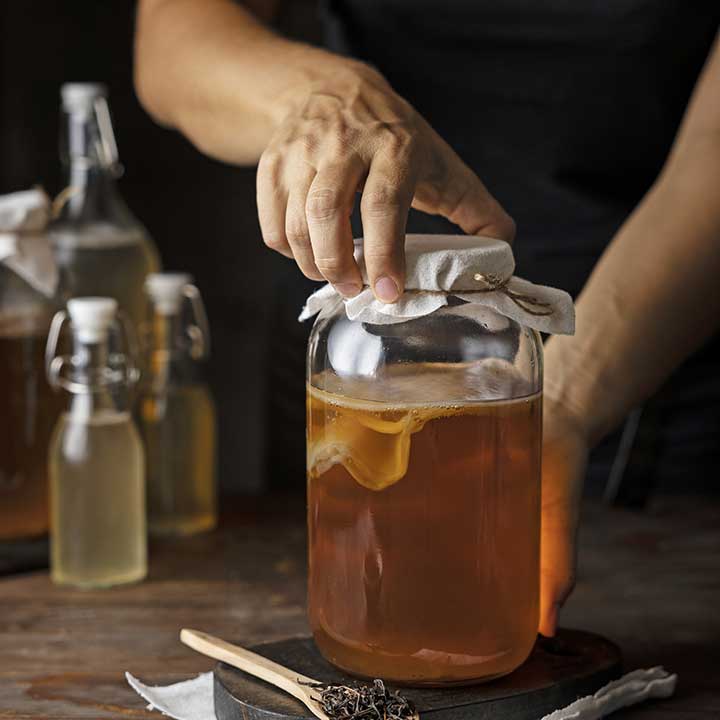 kombucha probiotico